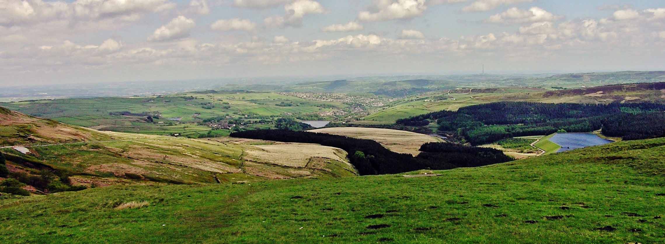 Holme Moors 2