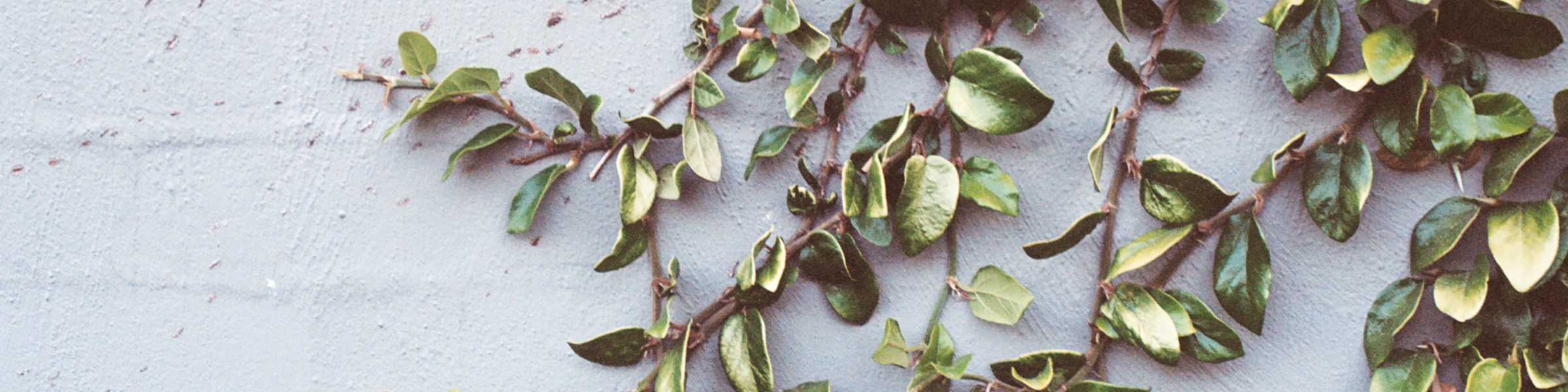 Blog Header 2020