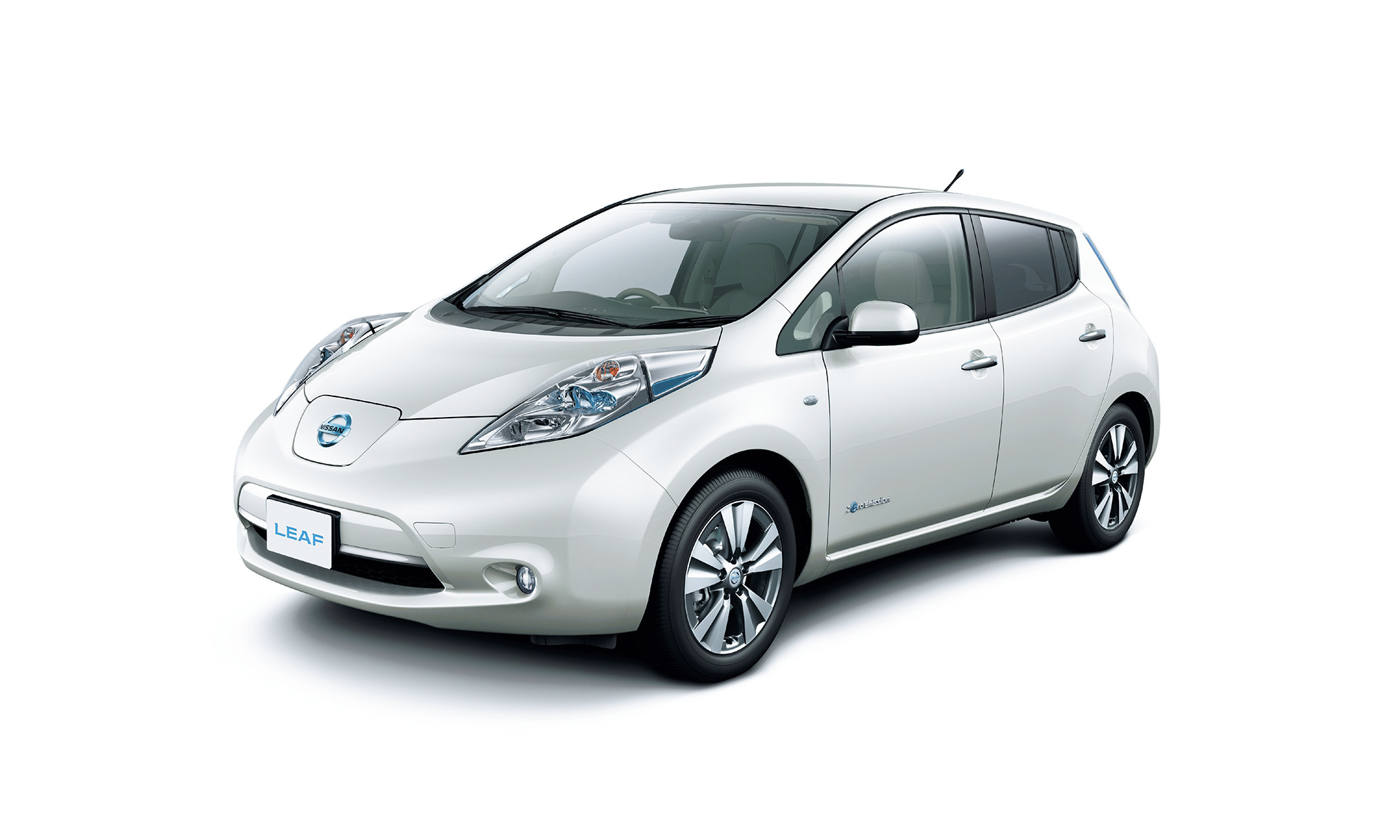 Leaf 2015 White 1