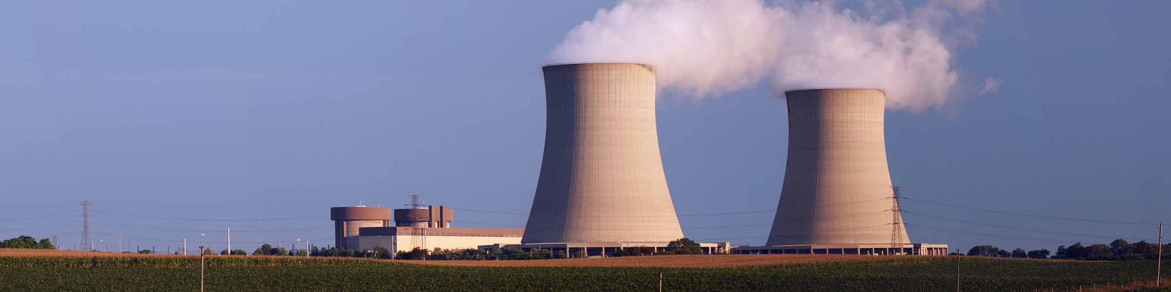 ban nuclear power